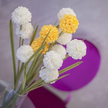 Luxury Boutique Studio Apartments Budua Esterno foto